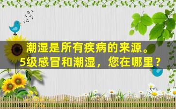 潮湿是所有疾病的来源。 5级感冒和潮湿，您在哪里？